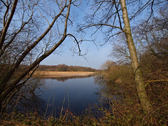 Attenborough nature reserve
