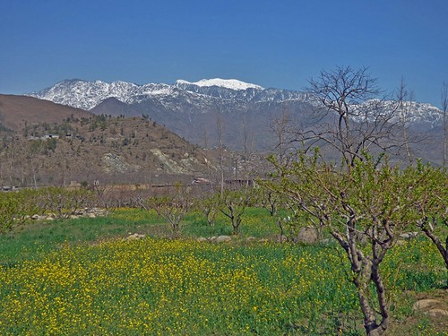 Early Spring in the Swat Valley, Khyber Pakhtunkhwa Province, Pakistan – March 2014