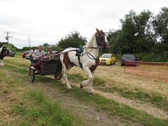 Wakering Horse and Carriage Drive 2016