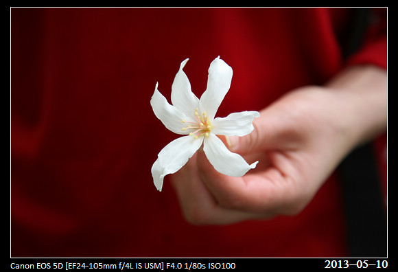 20130510_Flower2