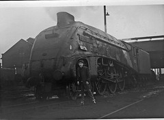 LNER Locomotives