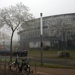 Clara-Grunwald-School with white trees
