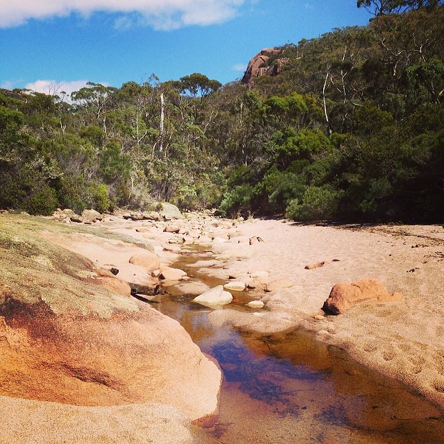Revisiting a favourite spot #sleepybay #freycinet #tasmania #instatassie