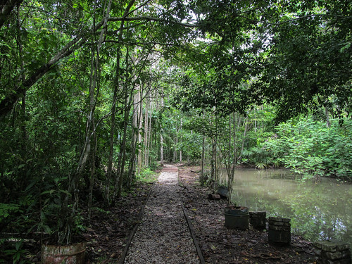 Panama City: Parque Natural Metropolitano