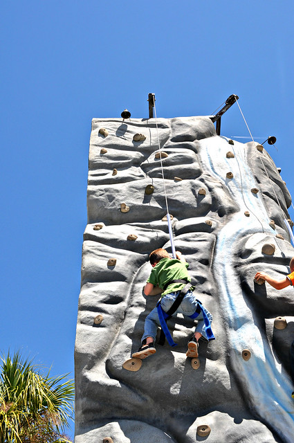 Jett on Rock Climbing Wall