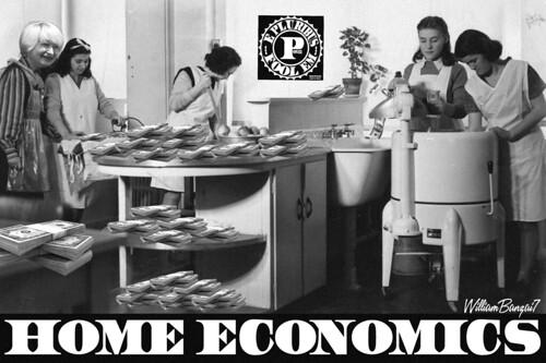 HOME ECONOMICS 101 by WilliamBanzai7/Colonel Flick