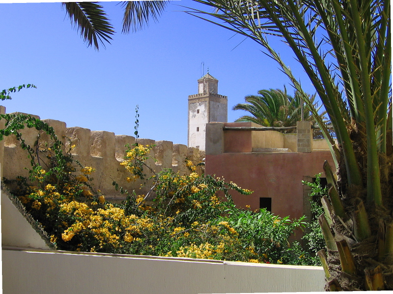 Riad Des Palmiers Essaouira