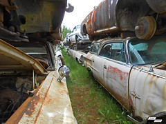 Rows of old Mopars at auto wrecking yard