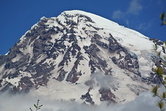 Mt Rainier from Rampart Ridge July 2016