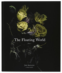Flaoting-world-cover