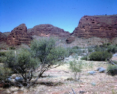 Palm Valley, Northern Territory 1972