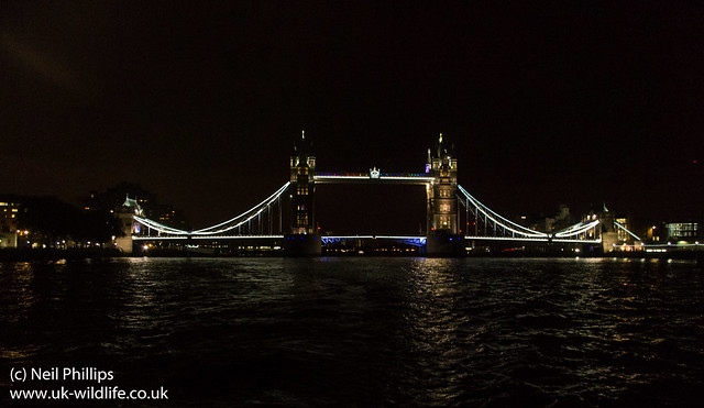 tower bridge at Night