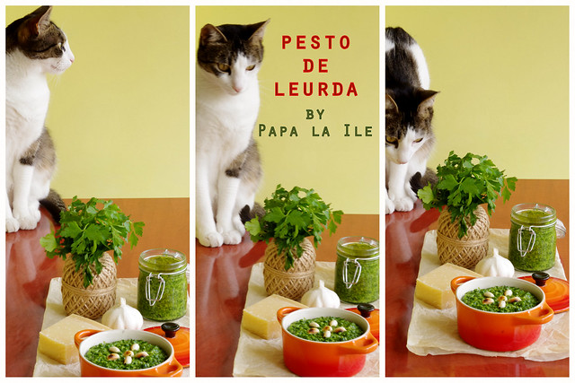 Pesto de leurda (11)