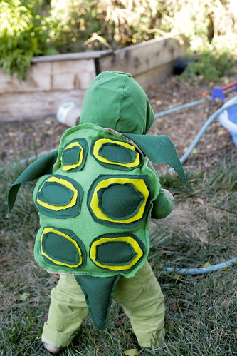 Baby Turtle.
