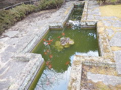 宮城県知事公館の池