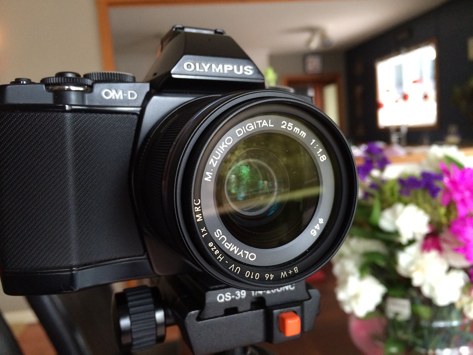 Olympus OM-D E-M5 with Olympus 25mm f1.8 Lens