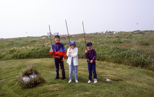 The kids on Machias Seal Island