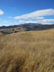 Bettencourt Ranch, Contra Costa County (near Danville), CA