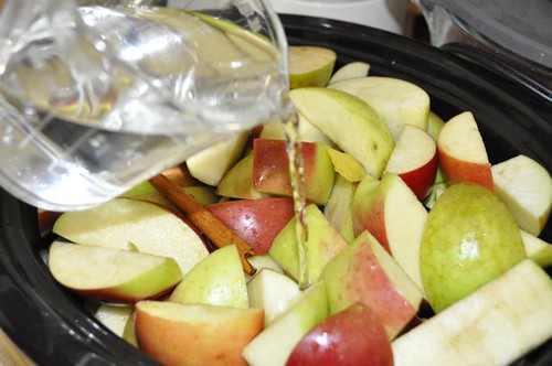 apple sauce in the slow cooker 10