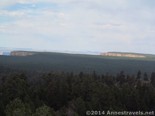 Grand Canyon Cliffs as seen from the Grandview Lookout Tower, Kaibab National Forest, Grand Canyon National Park, Arizona