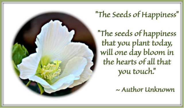 "The Seeds of Happiness"