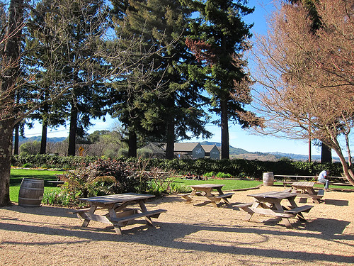 lunch tables @ Dry Creek Vineyards