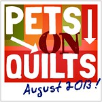 pets on quilts
