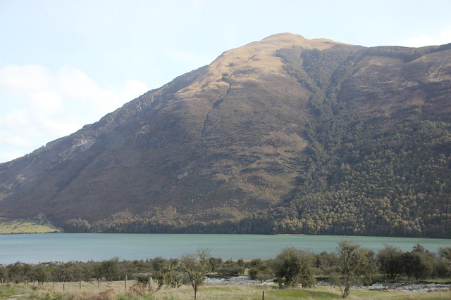 Nueva Zelanda, Aotearoa: El viaje de mi vida por la Tierra Media - Blogs de Nueva Zelanda - Día 19 - 18/10/15: Queenstown, Kawarau River, Glenorchy, Paradise y cumpleaños (132)
