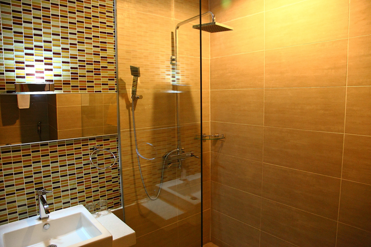 French Hotel Shower