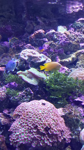 Sydney Sea Life Aquarium
