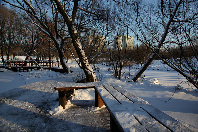 Benches_in_the_winter_2014(06)