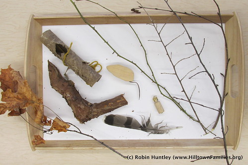 Robin Huntley: March Nature Table