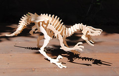 Wooden Dino Bones