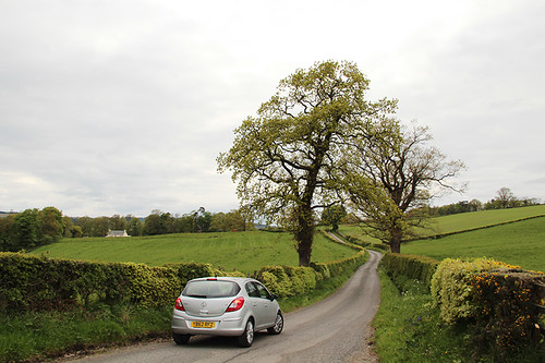 the road to Balloch Castle