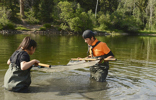 Tiffany Prieto and Luis Rosas work together to collect aquatic macro invertebrate samples during the week-long Nature High Summer Camp on the Manti-La Sal National Forest in Utah. Photo by Stacey Smith, BOR. Photo used with permission.