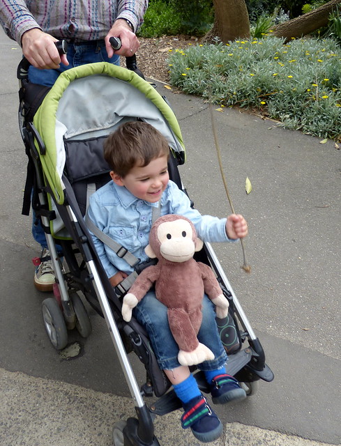 Rented a pram at the zoo