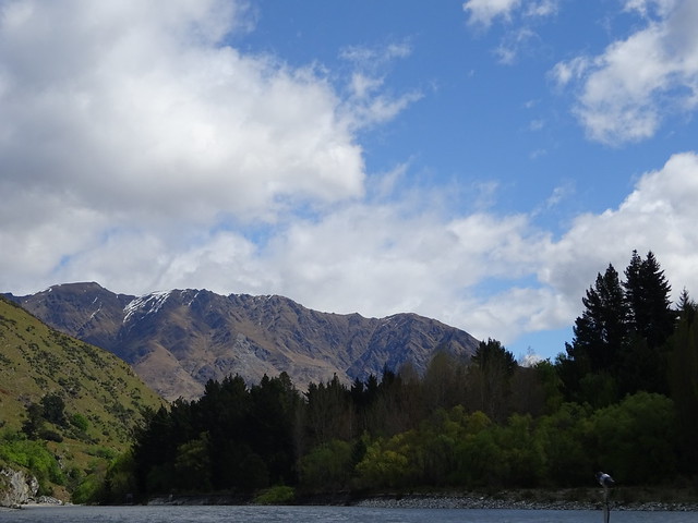 Día 19 - 18/10/15: Queenstown, Kawarau River, Glenorchy, Paradise y cumpleaños - Nueva Zelanda, Aotearoa: El viaje de mi vida por la Tierra Media (46)