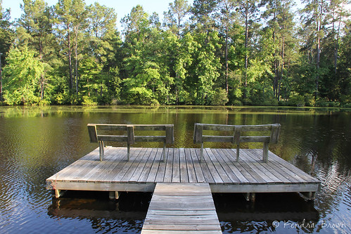 Pier on the pond