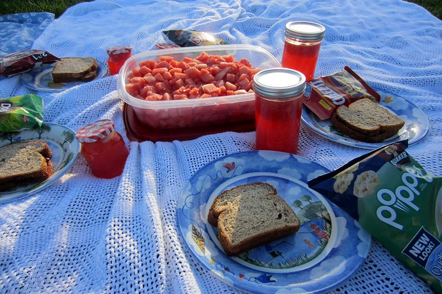 picnic 1