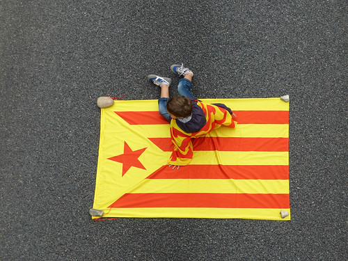 Diada 2013 - Via Catalana by dolors ayxendri
