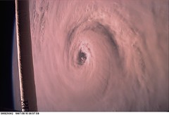 Typhoon Winnie