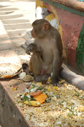 Monkey Temple, Kathmandu