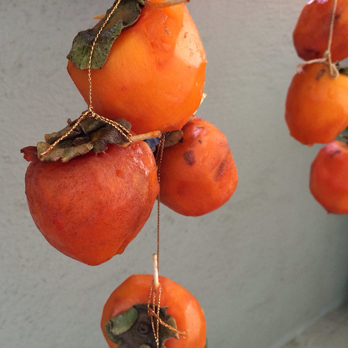 Making dried persimmon