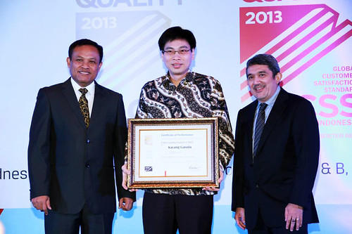 Global Customer Satisfaction Standard Award 2013