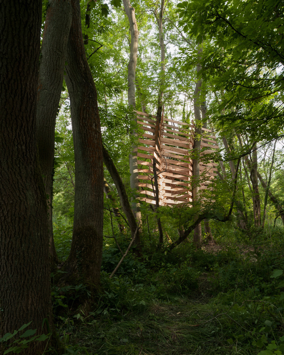Studio in the woods 2013