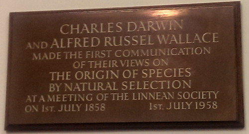 Plaque from the Linnean Society meeting room