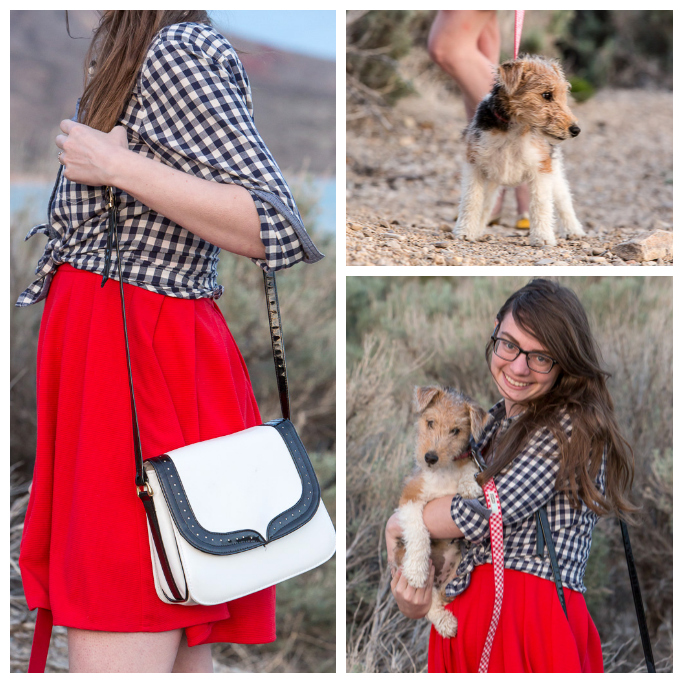 fox terrier, walking the dog, red dress, gingham top, blue top, never fully dressed, without a style, 