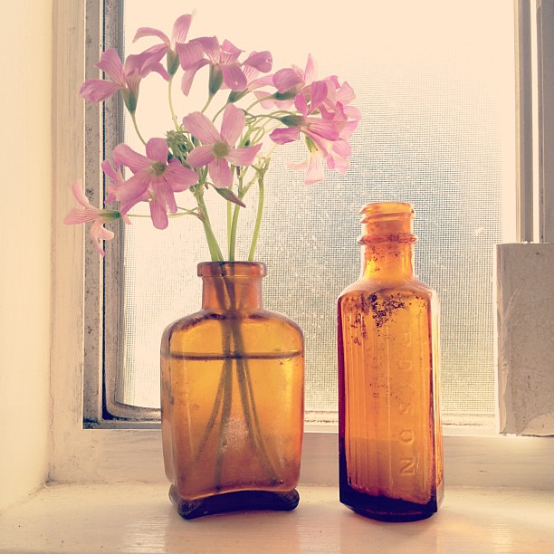 Pretty weeds and vintage medicine and poison bottles. #cornersofmyhome