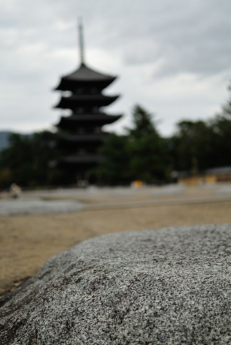 A spectacle of Kofuku-ji temple.