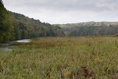 Lackawanna State Park, PA Sept 2013